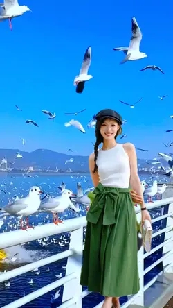 Flying seagull
