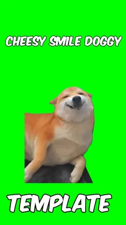 Cheesy dog 