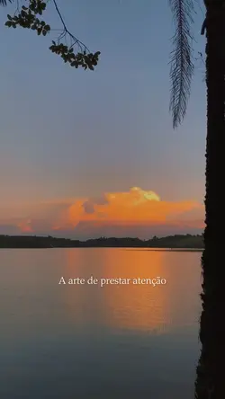 Arte🤍