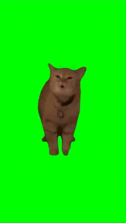 Cat singing
