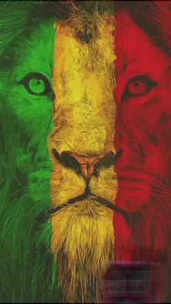 Modelo de Reggae I
