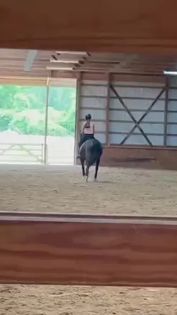 Leg yields 