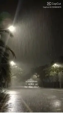 Rain 