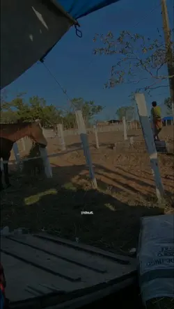 Canções de vaqueiro
