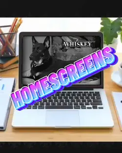 Home Screens