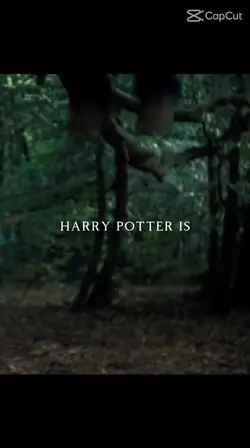 Harry Potter is..