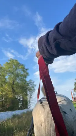 Slow mo