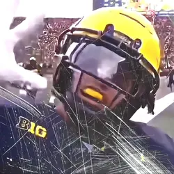 Michigan Wolverines 