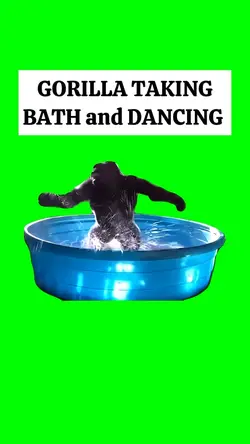 HAPPY GORILLA DANCES