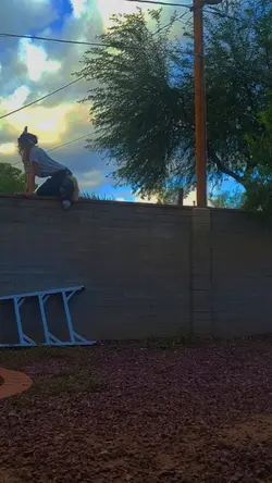 cat on a wall!? 