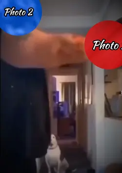 Lil Bro Is Clapped