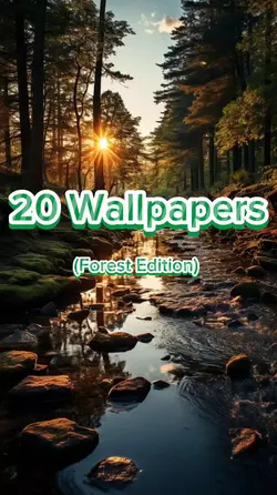 Forest Wallpapers