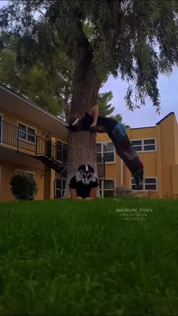 I NEED TO GET PRO