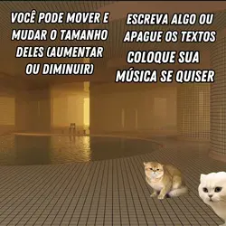 Gatos brigando
