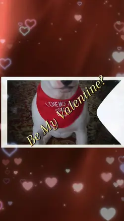 Be My Valentine?