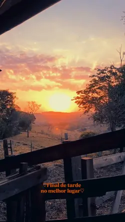 final de tarde