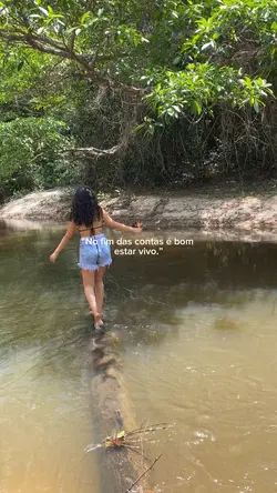 viver