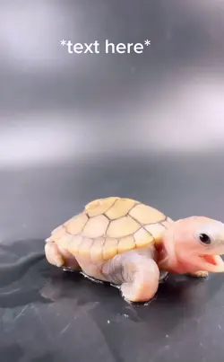 So cute