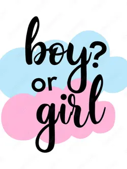gender reveal