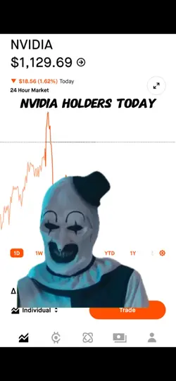 Nvdia bag holders