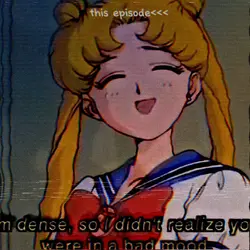 Usagi/sailor moo