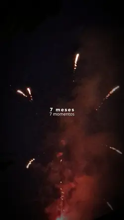 7 meses