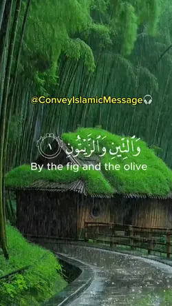 Surah Tiin - Qura