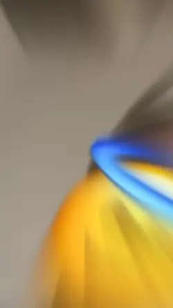 pagou de superante 