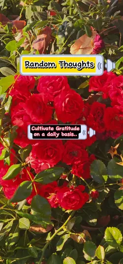 Gratitude