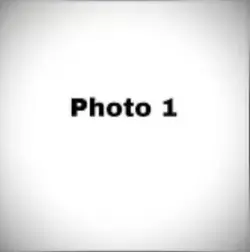 Free