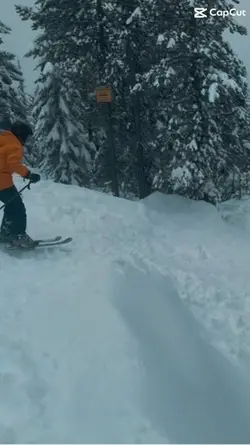Skiing