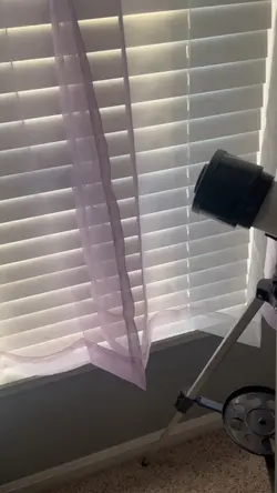 mister potato