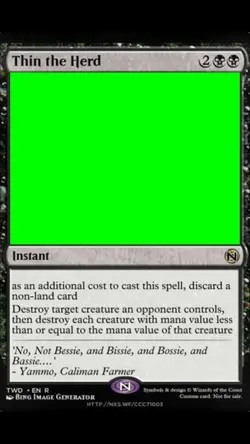 Magic the Gathering