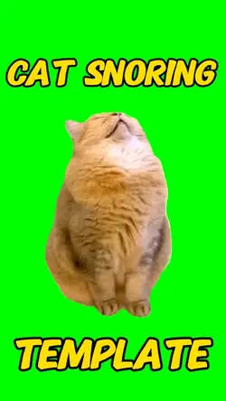 Cat Snoring Template