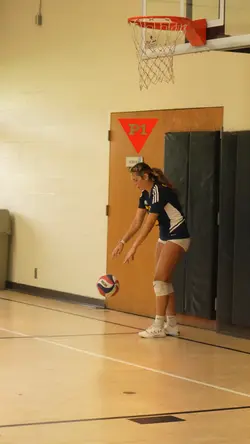 Volleyball 🏐 