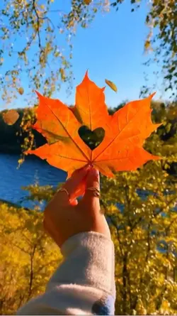 🍂🥰🙏