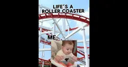 Roller coaster life 