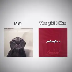 The Girl I Like  