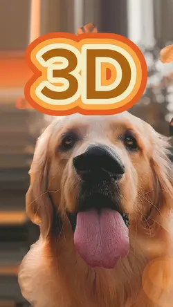 3D 
