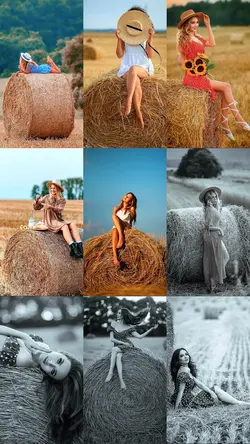 33 photo