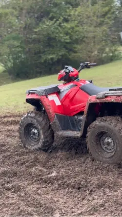 muddy