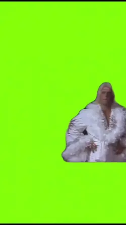Ric Flair