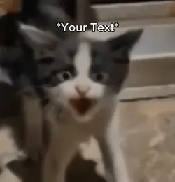 Cat ahhhh