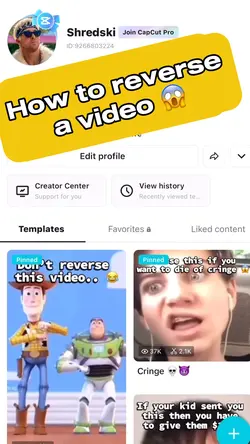 Reverse Video 