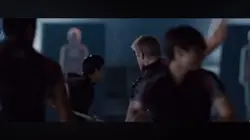 Cato edit 