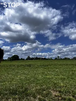 last video