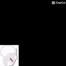 Naruto and sasuke