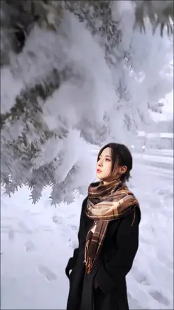 Snow scene