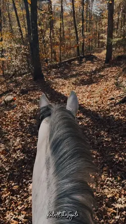 Paradise 🍂🍁