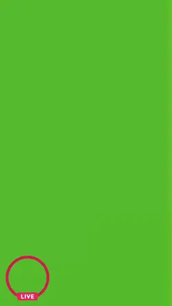 Chroma Key Template